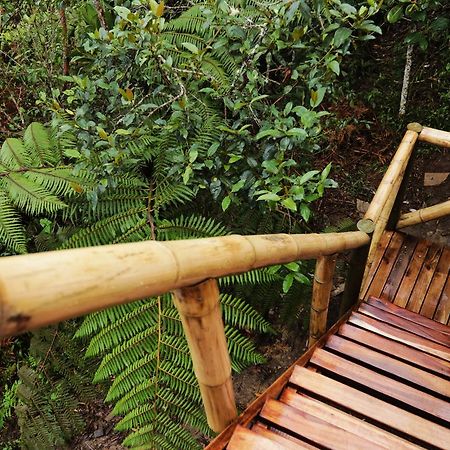 Salvaje Glamping Hotel ซานตาเอเลนา ภายนอก รูปภาพ